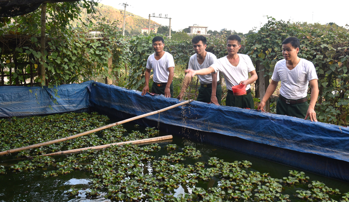 “Nuôi cá trên đồi”.