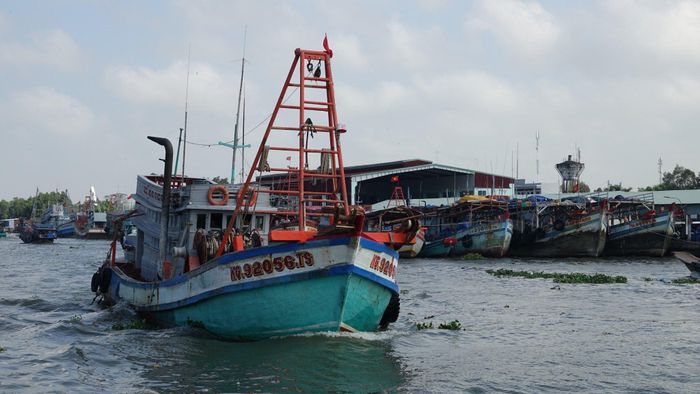 Kiên Giang có 100% tàu cá đã được đăng ký, 100% tàu cá đã được lắp đặt thiết bị giám sát hành trình.