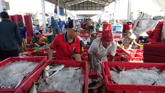 Cảng cá Tắc Cậu lớn nhất tỉnh Kiên Giang có khả năng đón khoảng 500 tàu một ngày đêm với sản lượng thủy hải sản hơn 250.000 tấn/năm.