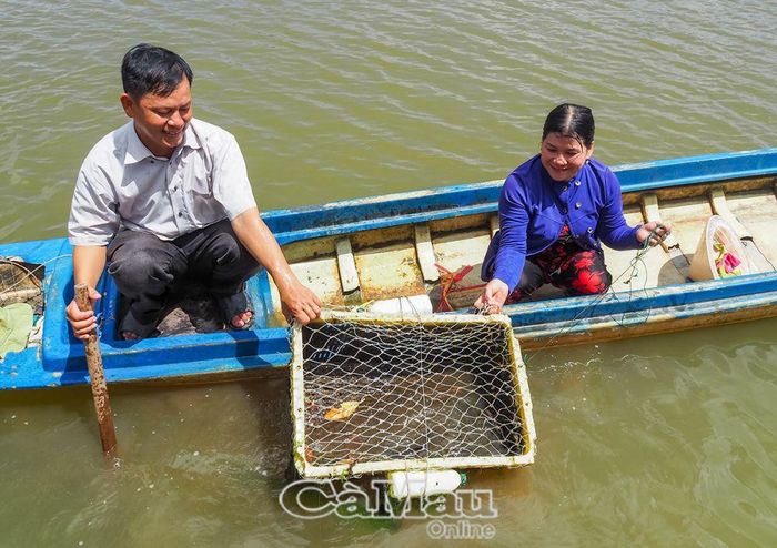 Vợ chồng anh Nguyễn Thành Nhân, có 5,2 ha nuôi tôm, cua, sò huyết kết hợp cá bống mú, thu nhập khoảng 150 triệu đồng/năm, trong đó thu nhập từ cá bống mú khoảng 30 triệu đồng.