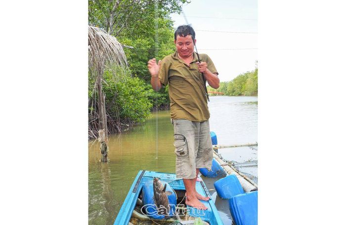 Anh Hồ Văn Hậu không đất sản xuất nên tận dụng nuôi cá bống mú trong lồng bè ven sông, cũng từ đây cùng với ý chí vươn lên, giúp gia đình anh thoát nghèo, ổn định cuộc sống.