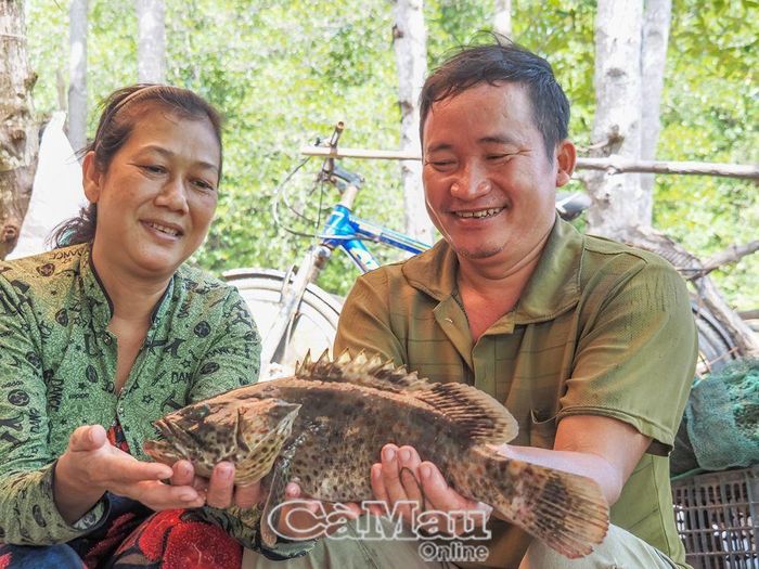 Vợ chồng anh Hồ Văn Hậu, chị Trần Thị Mai Thi nay đã thoát nghèo, một phần nhờ thu nhập từ mô hình nuôi cá bống mú trong lồng bè.