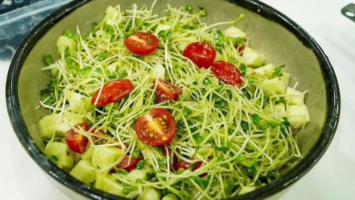 Các loại rau mầm có nguy cơ cao gây ngộ độc thực phẩm do các vi khuẩn Salmonella, E.coli và Listeria.