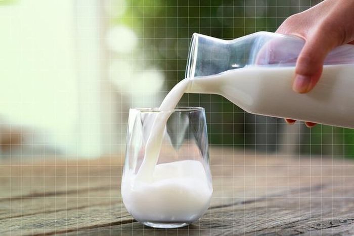 Sữa chưa tiệt trùng có nguy cơ gây ngộ độc thực phẩm cao.