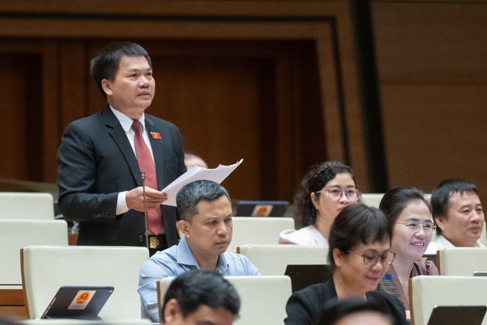 ĐB Dương Khắc Mai. Ảnh: VIẾT CHUNG
