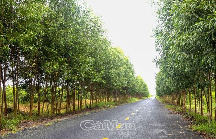  Lộ được đầu tư, mở rộng, tạo điều kiện cho du khách về tham quan, du lịch.