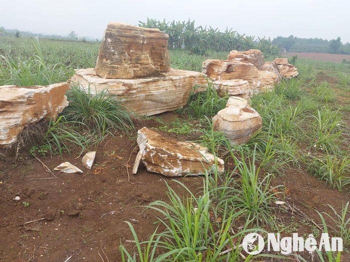 Ở địa bàn các huyện Nghĩa Đàn, Quỳ Hợp, từng diễn ra nhiều vụ việc khai thác trái phép đá cảnh. Ảnh: Nhật Lân