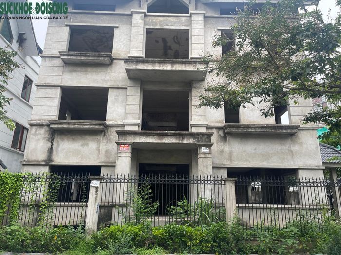Những căn biệt thự này đã hoàn thành phần thô, xung quanh có hàng rào bảo vệ, nhưng do lâu ngày bị bỏ hoang nên cỏ dại mọc um tùm.