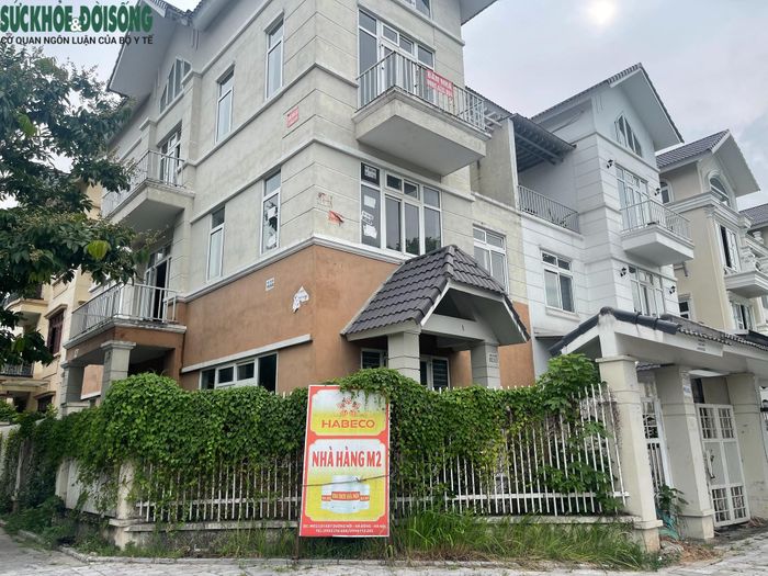 Dự án được khởi công từ năm 2008 với tổng mức đầu tư ban đầu 7.642 tỷ đồng, nhưng vẫn còn vài khu vực chưa được thi công hoặc đang trong quá trình hoàn thiện. Dù hạ tầng, cảnh quan, đường xá, hệ thống đèn chiếu sáng hầu như đã đầy đủ, lượng cư dân chuyển về ở vẫn thưa thớt. Trên một số trang web bất động sản, giá các căn biệt thự liền kề tại đây từ 110- 140 triệu đồng/m2 (tùy theo phân khu và loại hình sản phẩm). Như vậy, để sỡ hữu một căn biệt thự ở Dương Nội, khách hàng phải bỏ ra từ 10 tỷ đồng trở lên.
