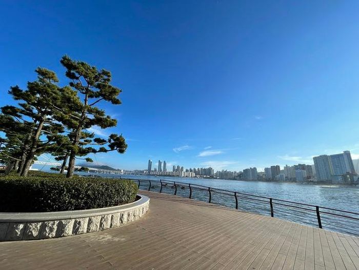Busan có nhiều nét tương đồng "thành phố đáng sống" Đà Nẵng. Ảnh: Hà Chi