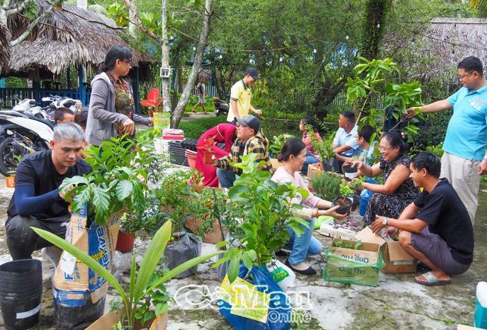 Trước ngày họp, Ban Quản trị nhóm và các thành viên sẽ tình nguyện tiếp sức vận chuyển, tập hợp cây giống, hạt giống từ các thành viên gửi tặng, để chia sẻ lẫn nhau trong ngày họp nhóm.