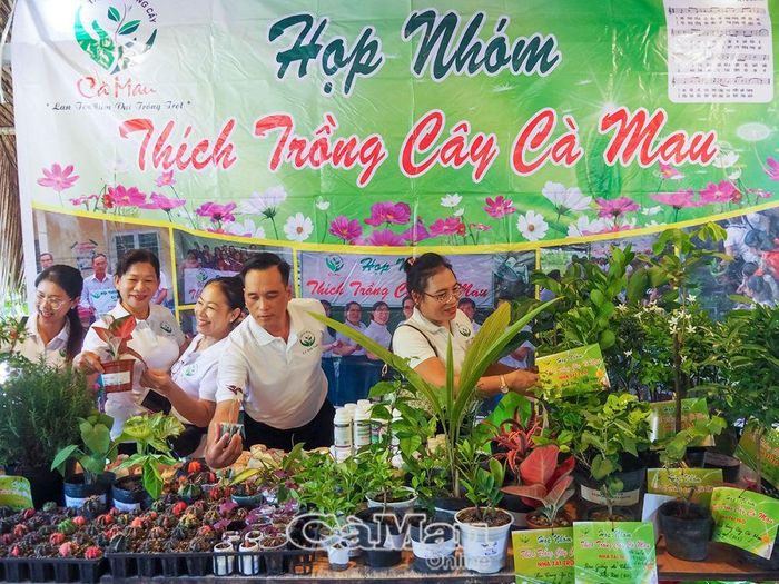 Cây giống do thành viên trong nhóm gửi tặng, đấu giá gây quỹ hoạt động nhóm.