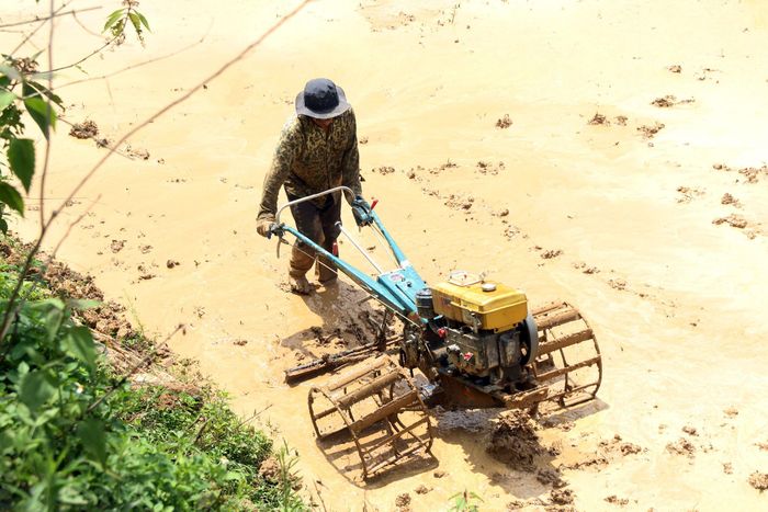 Để giảm bớt sức lao động, các địa phương người Thái, Mông, Khơ Mú của huyện Kỳ Sơn từ lâu đã đưa máy móc vào để sản xuất lúa nước. Đây là một bước đi lớn làm thay đổi cuộc sống của người dân vùng biên. Ảnh: Đào Thọ