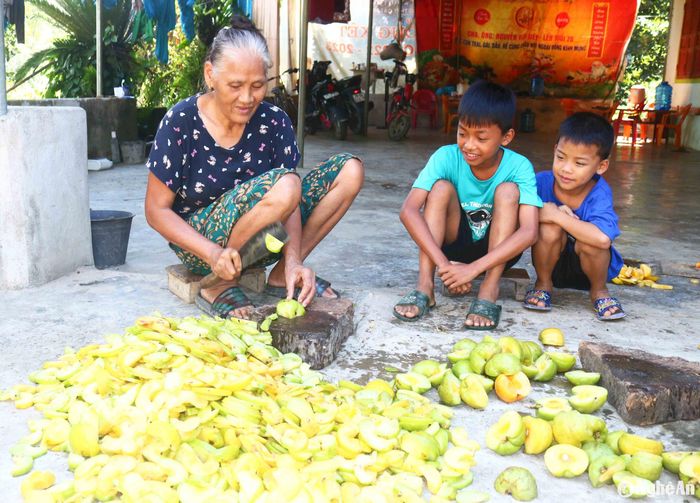 Những ngày nắng nóng, các hộ dân có sông chín đều tích cực hái sông, thái, phơi sông nhộn nhịp. Gia đình ông Nguyễn Hữu Liên ở xã Thanh Mỹ có 5 cây sông cho quả, mỗi mùa, vừa bán quả, vừa bán sông khô cho thu nhập 7 - 8 triệu đồng. Ảnh: Huy Thư