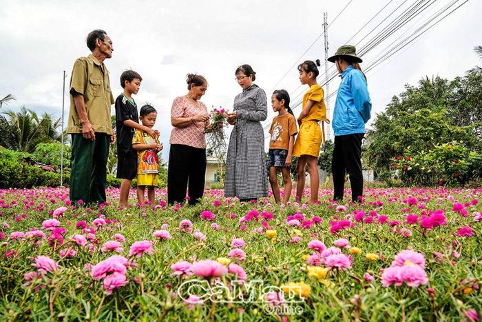 Bà Phan Cẩm Loan (thứ 4 từ phải sang), Chủ tịch Hội LHPN Phụ nữ xã Khánh Hải, tham quan mô hình trồng hoa mười giờ của gia đình ông Nguyễn Hùng Anh. “Mỗi khi lao động mệt nhọc về, ngồi trước nhà nhìn vườn hoa mười giờ nở rực,g thấy khoẻ hơn, tinh thần vui vẻ hơn”, ông Hùng Anh chia sẻ.