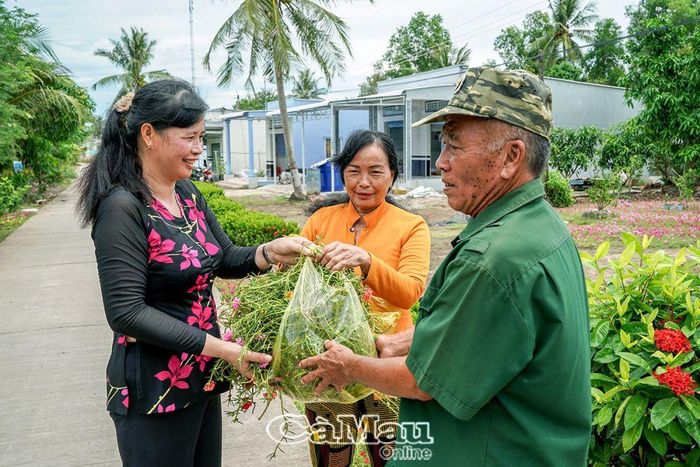 Ông Nguyễn Văn Sáu tặng hoa mười giờ cho bà con làm giống.