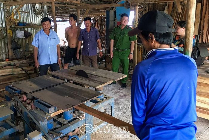 Ông P.V.M phát triển nghề cưa xẻ gỗ và mộc gia dụng, có thu nhập ổn định sau khi được vay vốn.