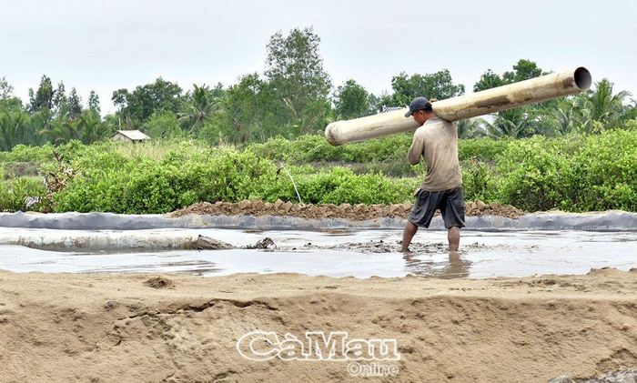 Cát sông đang được san lấp đoạn cao tốc trên địa bàn huyện Thới Bình.