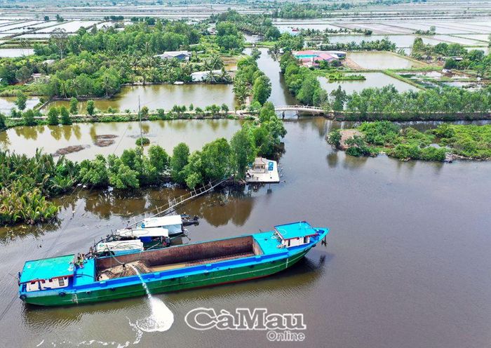 Sà lan trên tuyến Sông Trẹm (xã Hồ Thị Kỷ, huyện Thới Bình) đang lên cát, phục vụ xây dựng gói thầu tuyến cuối cao tốc đấu nối với đường Xuyên Á.