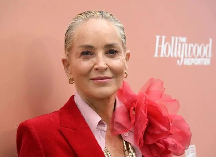 Sharon Stone cho biết cơn đột quỵ dẫn đến chảy máu não kéo dài 9 ngày, đã thay đổi “hoàn toàn” chức năng não của cô. Getty Images