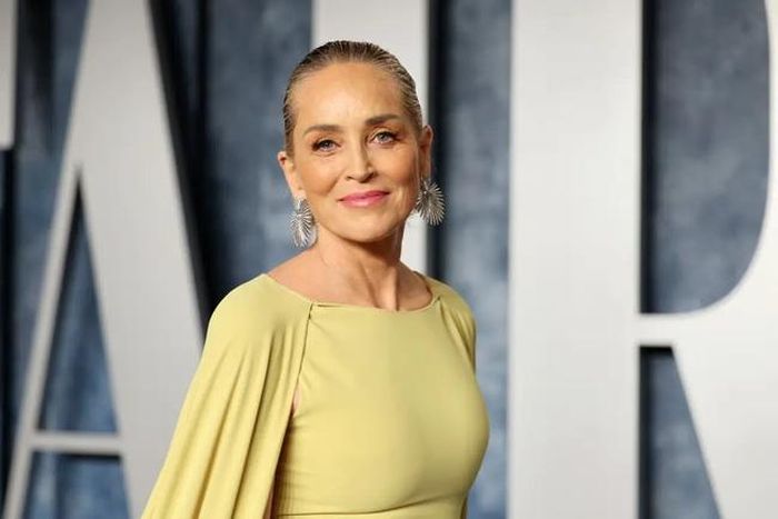 Sharon Stone quyết định không bám víu vào bệnh tật hay bất kỳ sự cay đắng hay tức giận nào. Getty Images