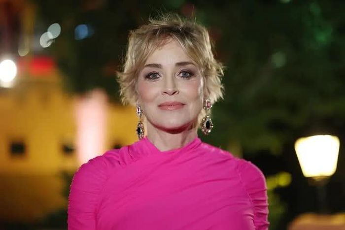 Sharon Stone bị đột quỵ hồi năm 2001. Getty Images