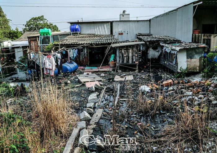 Người dân lấn chiếm cất nhà phía ngoài biển Tây, khu vực cống Ba Tỉnh, làm cho nước và rác thải ứ đọng, không lối thoát, gây ô nhiễm môi trường.