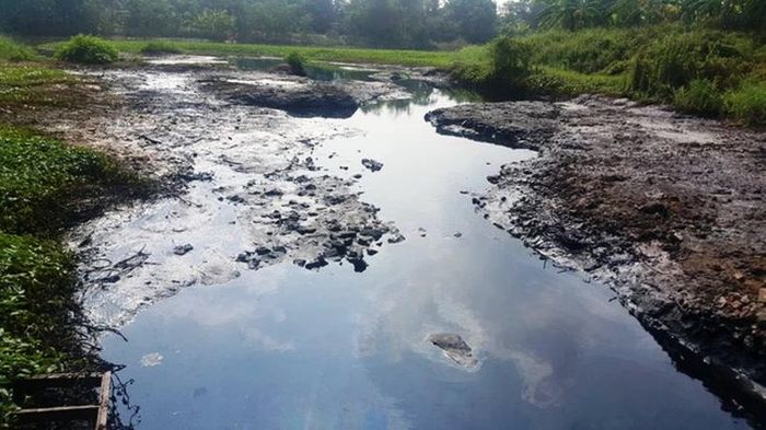 Kênh Bắc Hưng Hải bị ô nhiễm trầm trọng. Ảnh: THANH HÀ