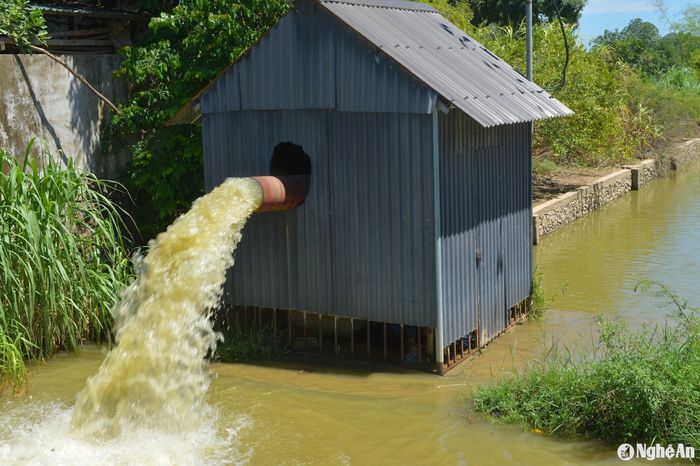 Bơm nước từ lòng hồ Khe Cái xã Nghi Lâm, huyện Nghi Lộc để tưới lúa. Ảnh: Văn Trường