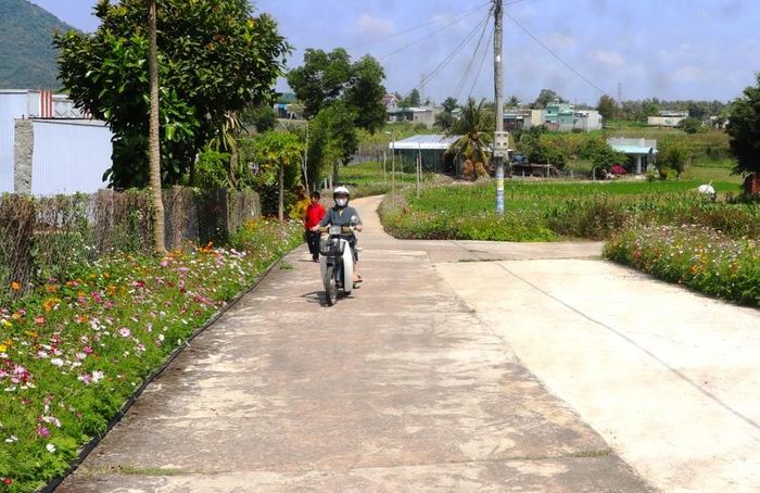 Nhờ sự tích cực tuyên truyền vận động của bà Phạm Thị Thú-Bí thư Chi bộ kiêm Tổ trưởng tổ 4 nhiều hẻm được mở rộng, bê tông hóa người dân đi lại thuận lợi. Ảnh: Ngọc Minh