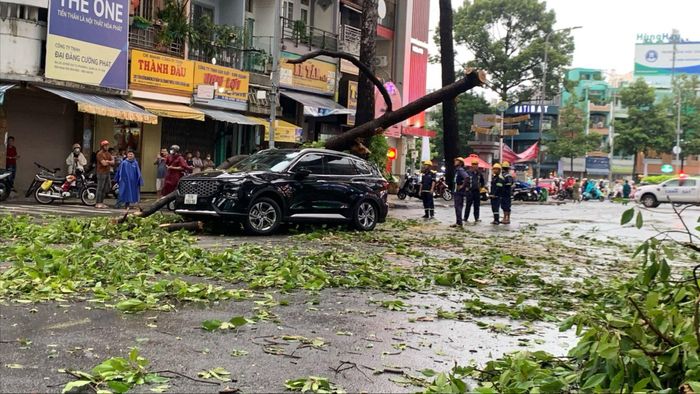 Hiện trường vụ tai nạn do nhánh cây gãy trên đường Ngô Gia Tự (quận 10, TPHCM) ngày 14-7