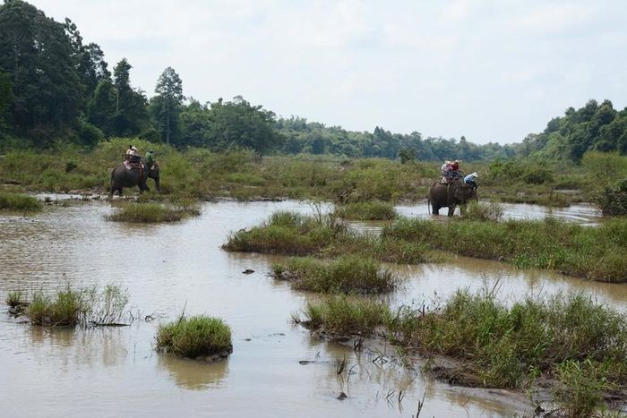 Bản Đôn, Đắc Lắc- Một thời nổi tiếng với dịch vụ cưỡi voi. Nay dịch vụ này đã chấm dứt để bảo vệ đàn voi nhà đang ngày mỗi ít dần.