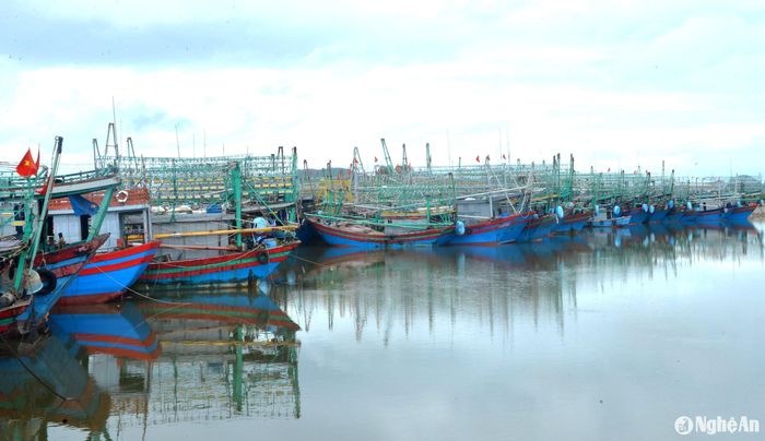 Tàu thuyền huyện Quỳnh Lưu về bờ tránh bão số 2. Ảnh: Văn Trường