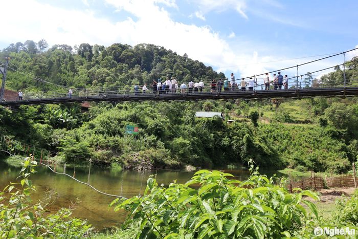 Từ đầu năm 2024 đến nay, xã Diên Lãm đón 40 đoàn khách đến tham quan du lịch và ngắm cá mát trên các đoạn suối Nặm Cướm được bảo vệ. Ảnh: Bé Vinh