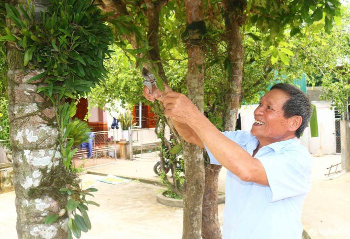 Thương binh Nguyễn Hữu Ất chăm sóc cây cảnh tại nhà. Ảnh: Huy Thư