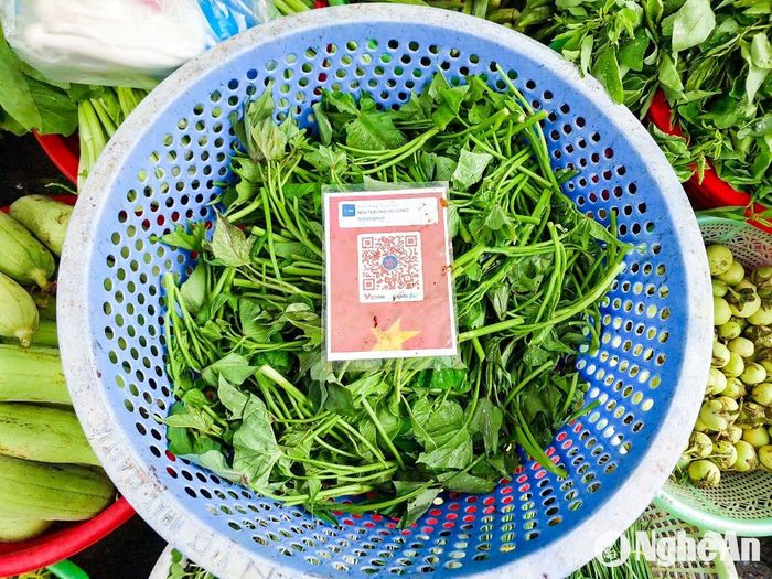 Chỉ bán “cây nhà lá vườn” nên thi thoảng bà Nguyễn Mai Phương, khối Xuân Trung (phường Hưng Dũng, TP. Vinh) mới có rau mang đi chợ bán. Hàng hóa mỗi lần cũng không nhiều, chỉ vài cân cà dừa, vài bó rau muống, mớ rau vặt. Nếu như trước đây, mỗi lần đi chợ, bà phải chạy đi đổi tiền lẻ để thối lại cho khách thì gần 1 năm nay, bà làm mã QR, để trong rổ rau, khách mua 3.000, 5.000 hay 10.000 đồng đều có thể quét mã đúng số tiền phải trả. Bà không phải thu tiền cũng không phải loay xoay đổi tiền để thối lại… Ảnh: Thanh Phúc