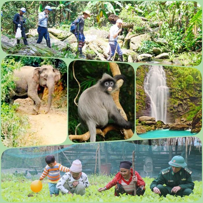 Các hoạt động bảo tồn thiên nhiên, phát triển kinh tế - xã hội vùng lõi Vườn Quốc gia Pù Mát. Ảnh: PV - CTV
