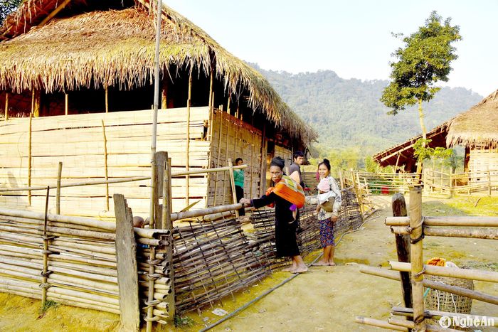 Người dân sống trong vùng lõi Vườn Quốc gia Pù Mát tại bản Búng, xã Môn Sơn (Con Cuông). Ảnh: Hoài Thu.