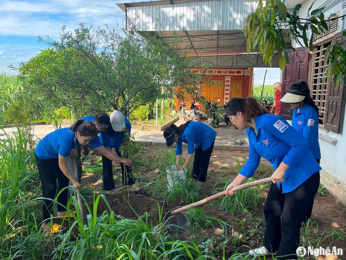 Đoàn viên, thanh niên trồng cây lưu niệm tại nhà thương binh Lê Văn Nga xóm Đồng Hưng, xã Nghĩa Yên (Nghĩa Đàn). Ảnh: Minh Thái