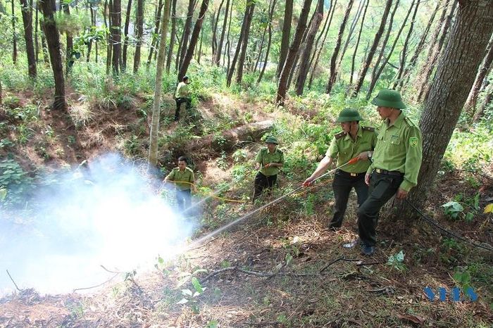 “Sáng kiến kỹ thuật cải tạo máy cắt thực bì thành hệ thống chữa cháy rừng cơ động” của Chi cục Kiểm lâm tỉnh Thanh Hóa đã phát huy có hiệu quả.