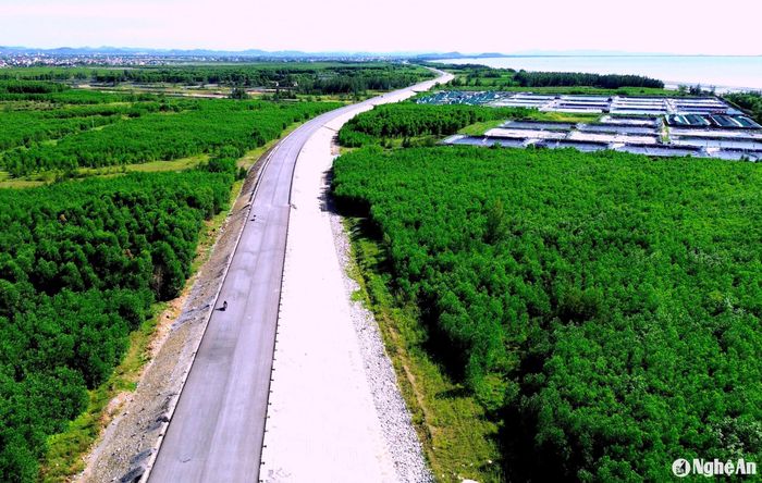 Tuyến đường chạy qua những cánh rừng ven biển huyện Diễn Châu. Ảnh: Quang An