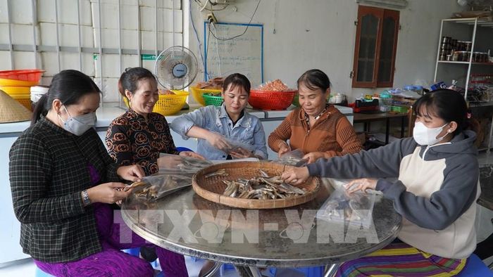 Thành viên HTX Dịch vụ nông nghiệp Hiểu Phát, xã Phong Đông, huyện Vĩnh Thuận (Kiên Giang) đóng gói cá khô. Ảnh: Văn Sĩ - TTXVN