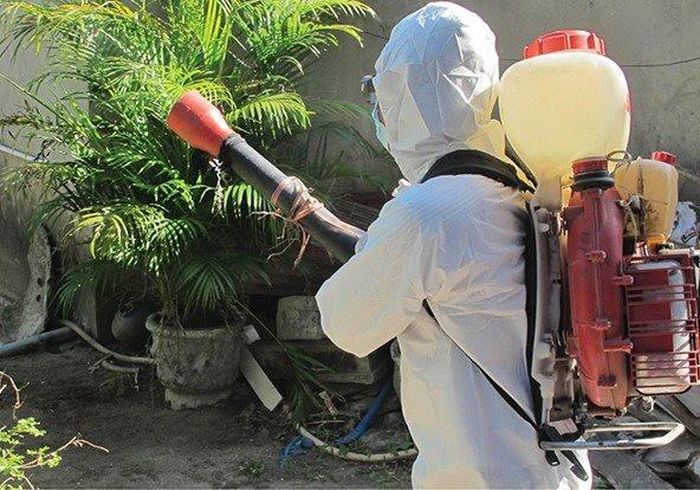 Phun khử khuẩn sân vườn để diệt muỗi