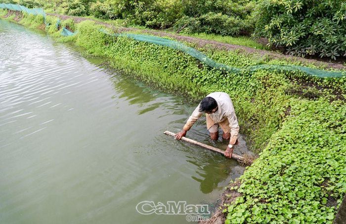 Ðặt ống để kiểm soát mực nước, tránh tình trạng lượng nước trong ao cao, cá dễ thoát ra ngoài.