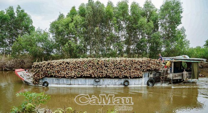 Minh Hà là con kênh huyết mạch vận chuyển hàng hoá của bà con nơi đây.