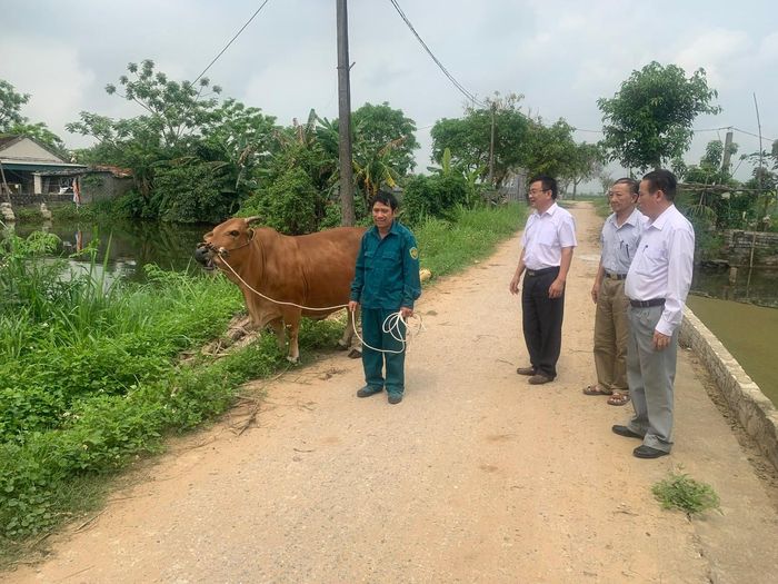 Hỗ trợ bò cho nạn nhân chất độc da cam. Ảnh: Hội NNCĐDC cung cấp