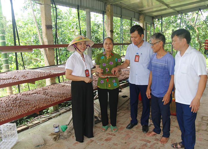 Xã Vĩnh Lại đang hoàn thiện hồ sơ, thủ tục để đăng ký sản phẩm hạt mắc ca đạt tiêu chuẩn OCOP 3 sao
