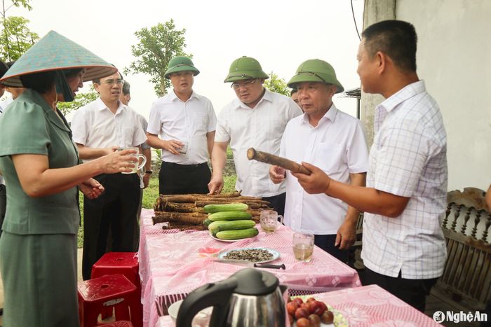 Phó Chủ tịch UBND tỉnh Nguyễn Văn Đệ và đoàn công tác thăm mô hình kinh tế ở xã Long Xá (Hưng Nguyên). Ảnh: T.P