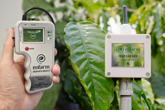 Cảm biến đo đất thông minh của startup Enfarm. Ảnh: NVCC