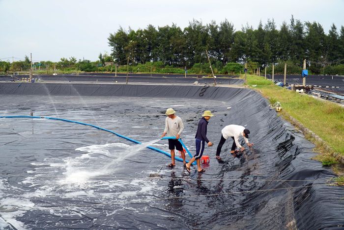Người dân Diễn Châu chuẩn bị ao đầm thả tôm. Ảnh: Phú Hương